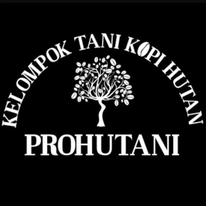 Prohutani